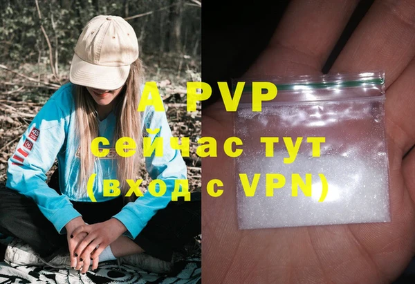 спиды Покачи