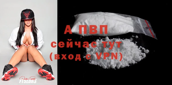 спиды Покачи