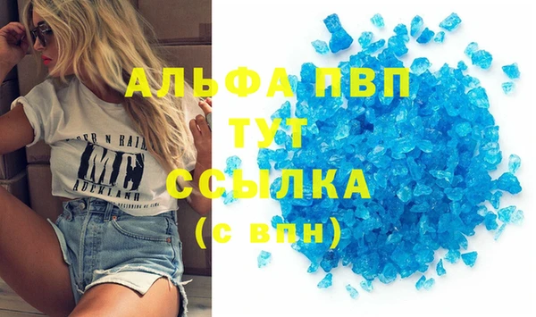 спиды Покачи